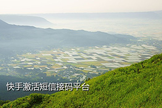 手机接码平台论坛