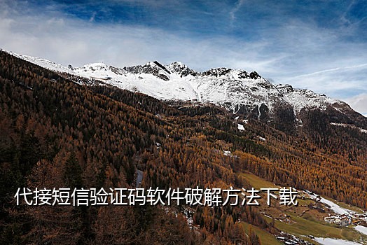 短信api接码