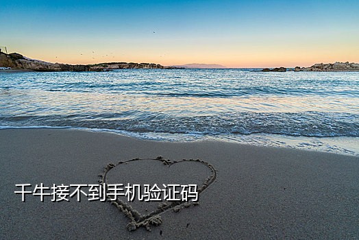 手机接码ap