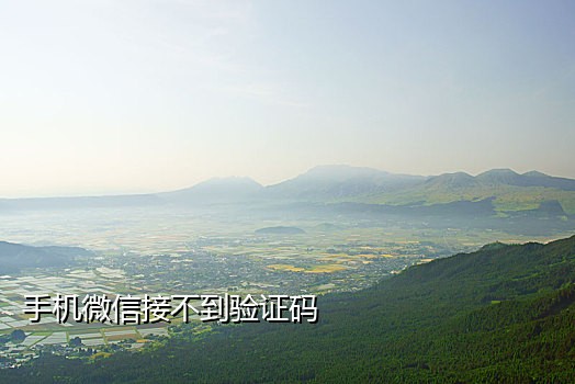 手机接不验证码怎么回事