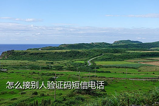 手机接不了支付宝验证码