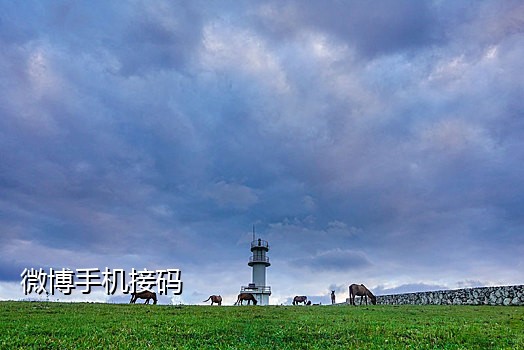 手机号自助接验证码