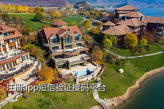 手机号验证码代接