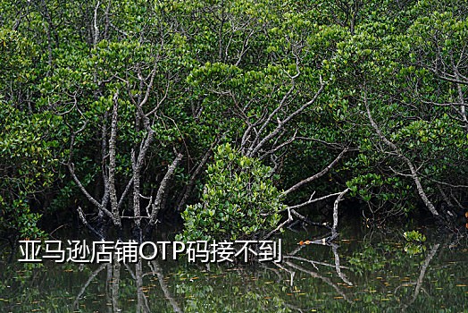 手机号免费接码
