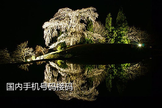 手机号接码收费软件下载