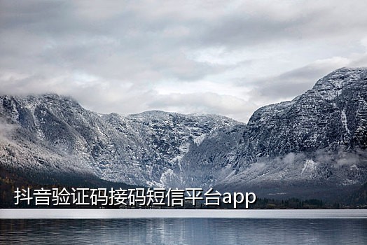 手机号接码平台代理