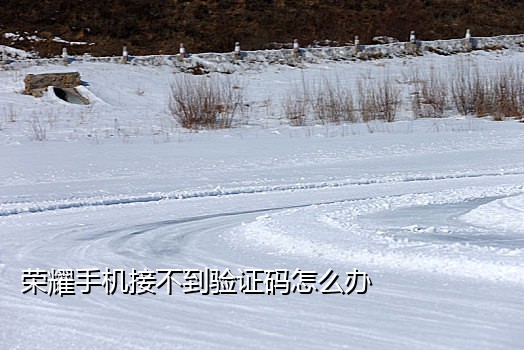 手机号变手机接码怎么回事