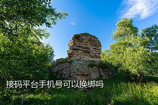 抖音首卡接码