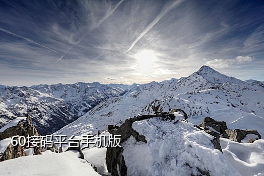 批量注册微信的接码平台