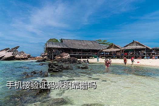 能注册淘宝号的接码平台