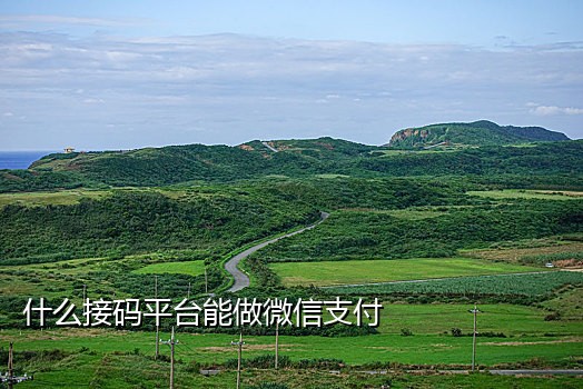 哪个接码平台可以接微信