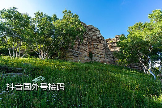 陌陌接码客户端在哪里打开