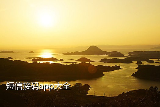 免费虚拟手机号接验证码