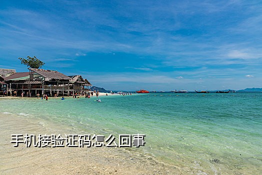 抖音接码做什么