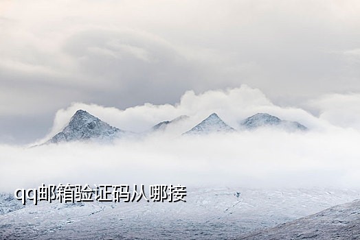 美国手机网页接码