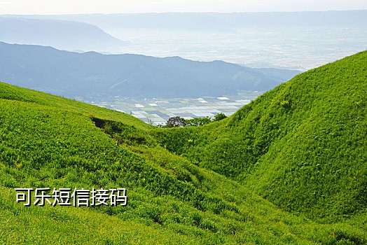 美国接码手机号