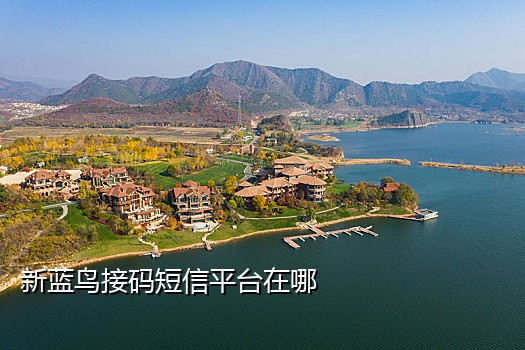 没有号码怎么接短信验证码