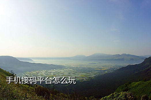 临时手机号码接码软件
