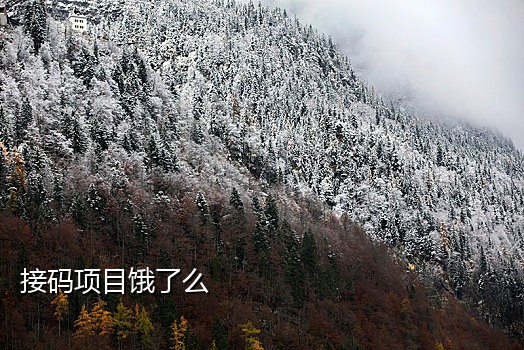 老年人手机接码违法吗