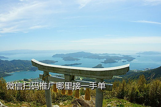 可以接微信注册码的平台有
