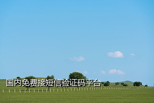 可发送短信的接码