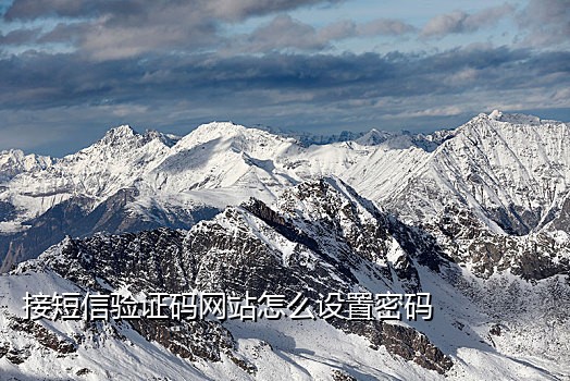 聚码接码软件收不到短信