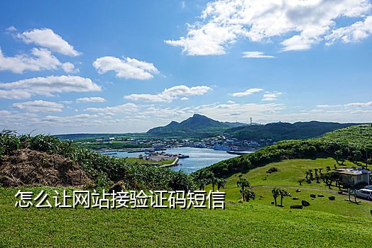 抖音接码平台是什么