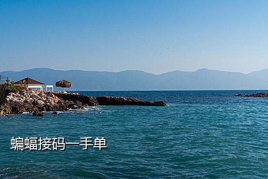 今日头条接码平台