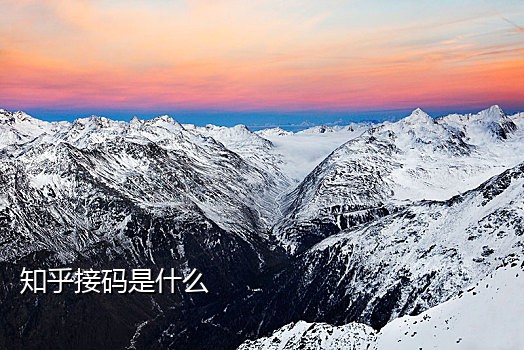 接码注册淘特