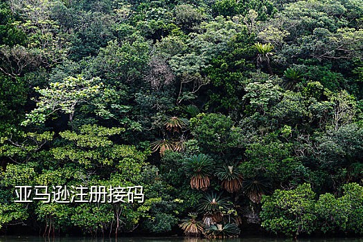 用接码平台的手机号合法吗