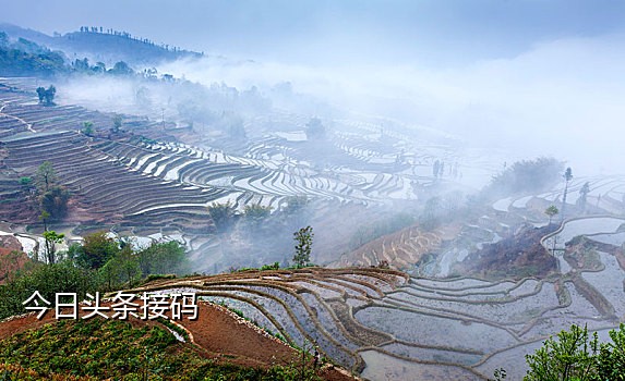 接码平台最新手机版