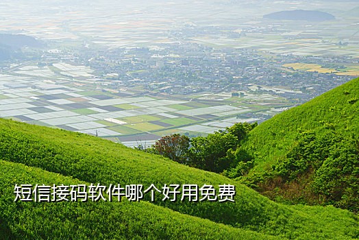 接码平台下载手机版