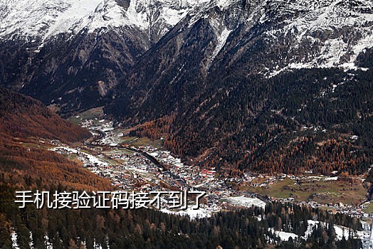 接码平台抖音小号