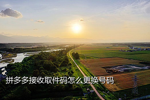 接码可以接微信的单子吗