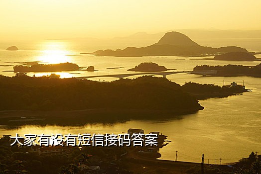 接码短信验证