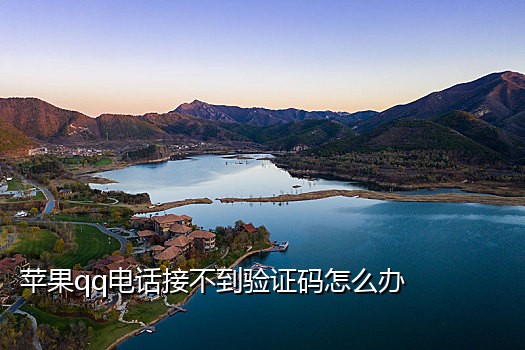 接国外短信验证码