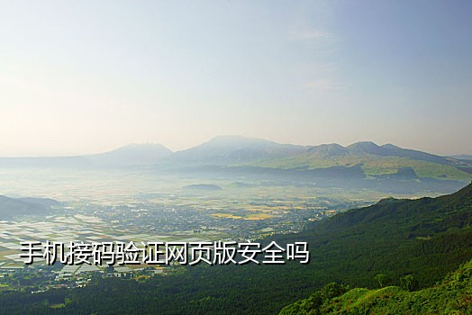 接短信验证码有延迟嘛