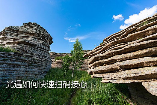接短信验证码免费