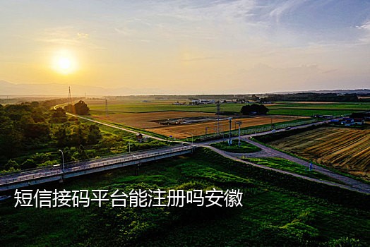 华为云可以在线接码