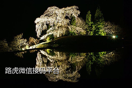 湖南电信百度接码平台