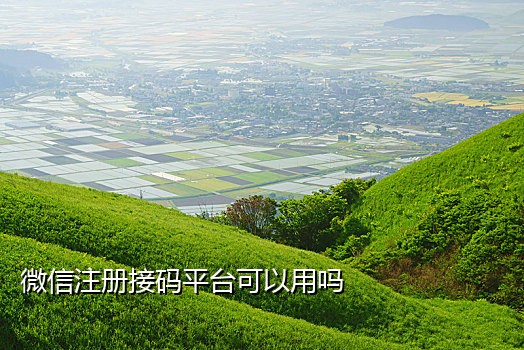 海外手机接码违法吗安全吗