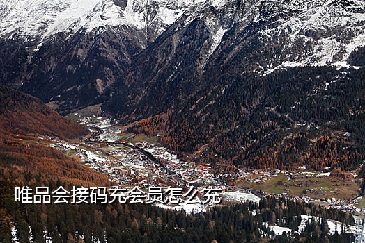 国外手机号接码器