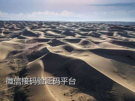 国内手机接码