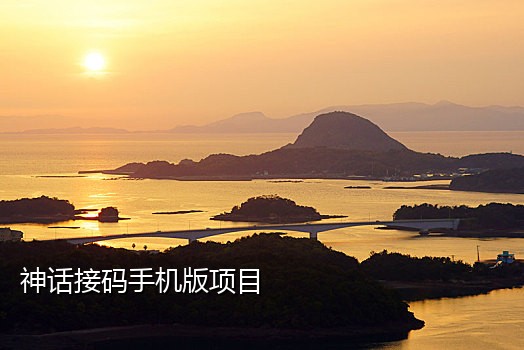 固定手机号码的接码