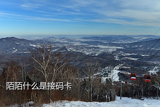 个人手机号接码