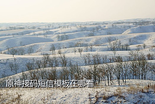 叮咚接码手机验证码
