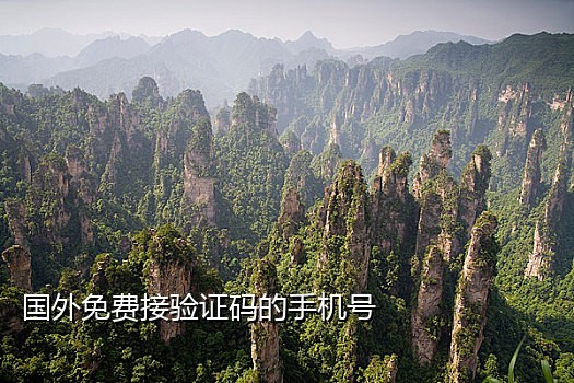 饿了么接码平台