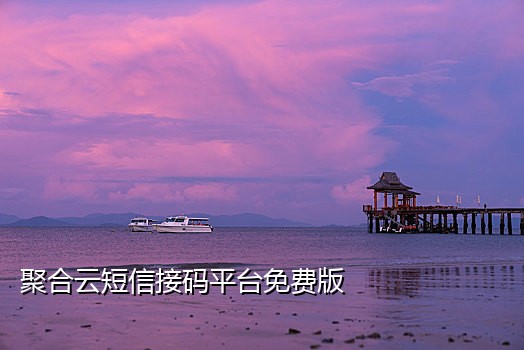 短信验证接码app