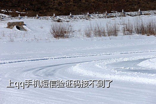 短信接码验证码接收平台