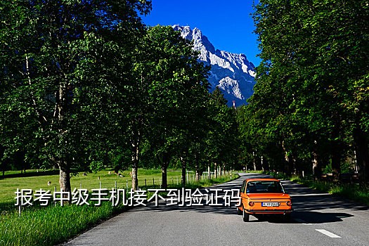 短信接码网站知乎网页下载